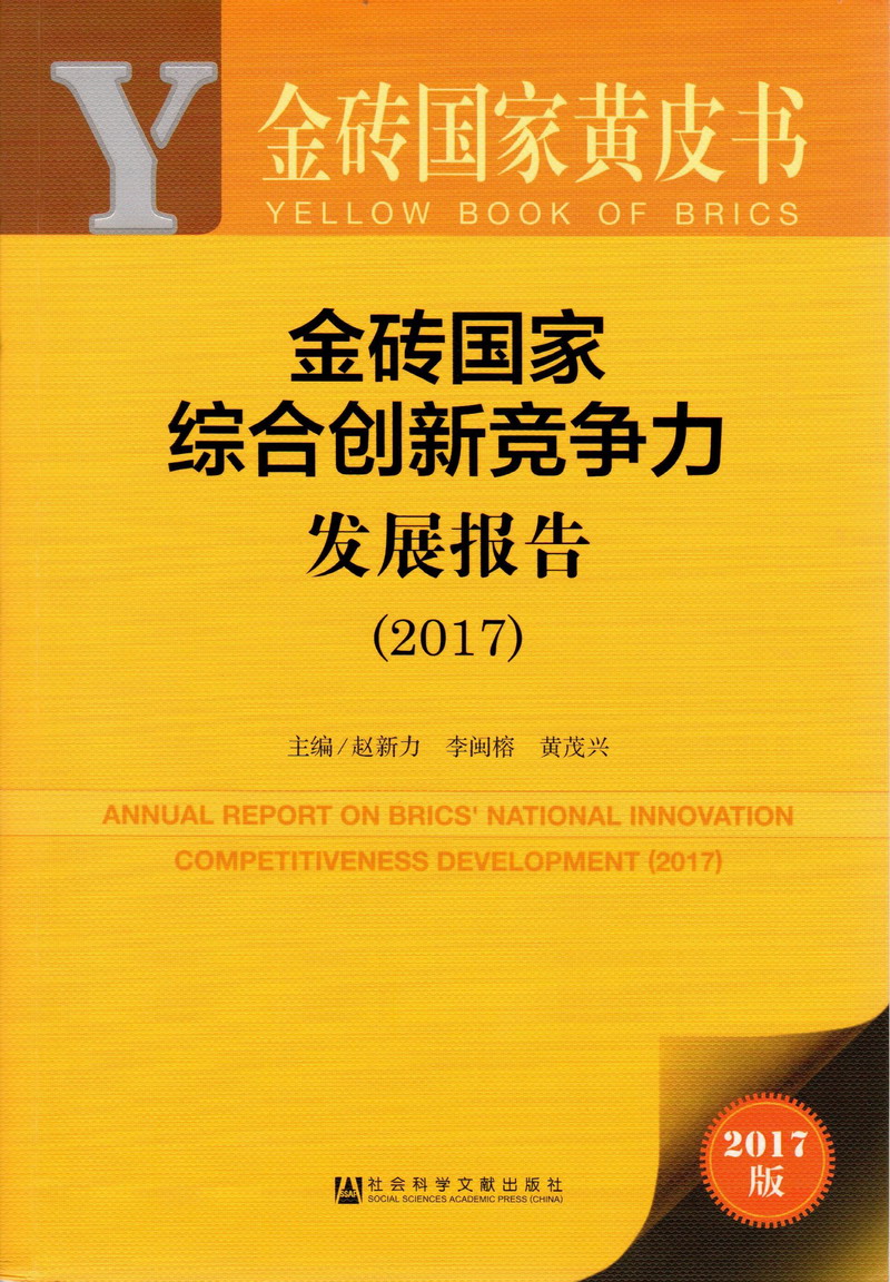 啊啊啊啊好大好硬操我小逼视频金砖国家综合创新竞争力发展报告（2017）